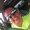 Photo of Kindra B.