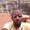 Photo of Dewayne E.
