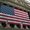 Photo of Noel S.
