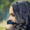 Photo of Anniyah G.