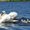 Photo of Alster F.