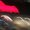 Photo of Marcio S.