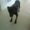 Photo of Zoey F.