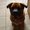 Photo of Rilla W.