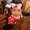 Photo of lisa ann r.