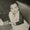 Photo of Terri G.