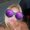 Photo of Darnie L.