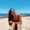 Photo of Maya R.