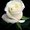 Photo of Mayra M.