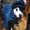 Photo of Mallery P.