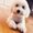 Photo of Ip M.