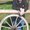 Photo of Qype User (friedr…)