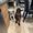 Photo of Dog L.