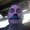 Photo of Dennis S.