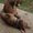 Photo of Kaylee U.