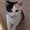 Photo of Cat C.