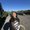 Photo of Elissa P.