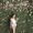 Photo of Stephanie T.