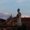 Photo of Ana C.