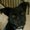 Photo of Bear F.