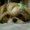 Photo of Sandy T.