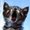 Photo of Qype User (Lisert…)