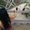 Photo of Mae-Alisha H.