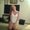 Photo of Lisa Lynn ..