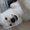 Photo of Weixuan S.