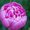 Photo of Peony C.
