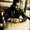Photo of Sajith J.