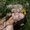 Photo of Arlay T.