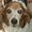 Photo of Sheri A.