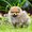 Photo of Cindy L.