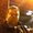 Photo of Travis J.