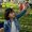 Photo of Minae S.