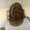 Photo of Tamika P.