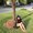 Photo of Thuy L.