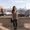 Photo of Jacie S.