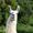 Photo of Llamaboyz ..