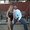 Photo of Leah M.