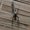Photo of Qype User (Sillyt…)