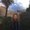 Photo of Bri M.