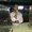 Photo of Eitan S.