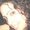 Photo of Lana P.