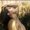 Photo of Heather P.