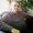 Photo of Khaled M.