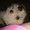 Photo of Layla R.