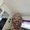 Photo of Benita S.