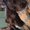 Photo of Hilarie A.